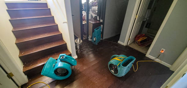 Best Flood restoration services  in Healdton, OK