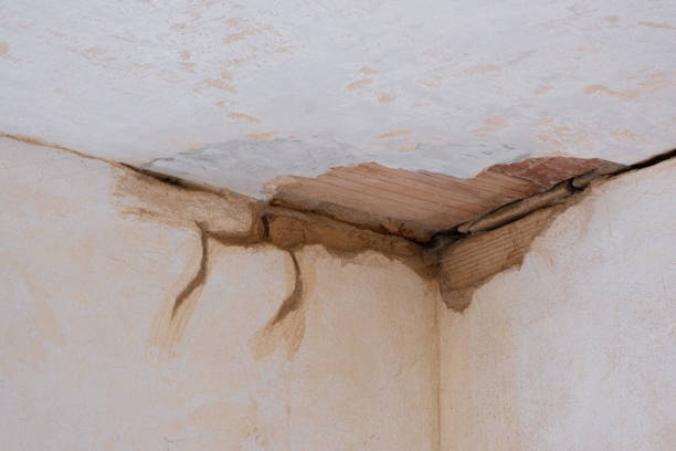 Best Flooded house restoration  in Healdton, OK