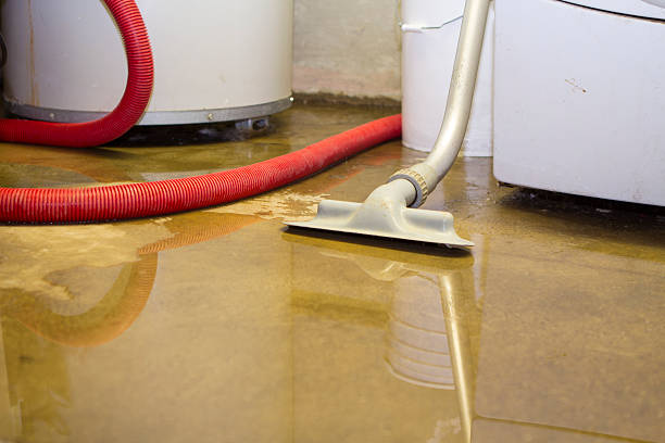 Best Water damage restoration near me  in Healdton, OK