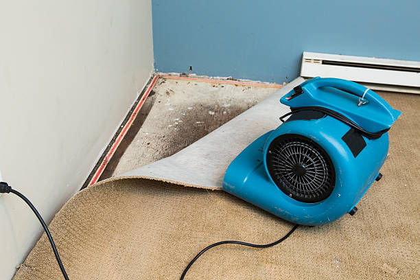 Best Residential water damage restoration  in Healdton, OK